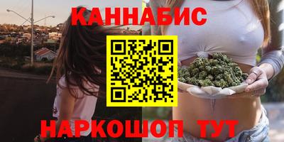 гашик Кимры