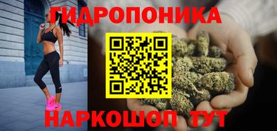 гашик Кимры
