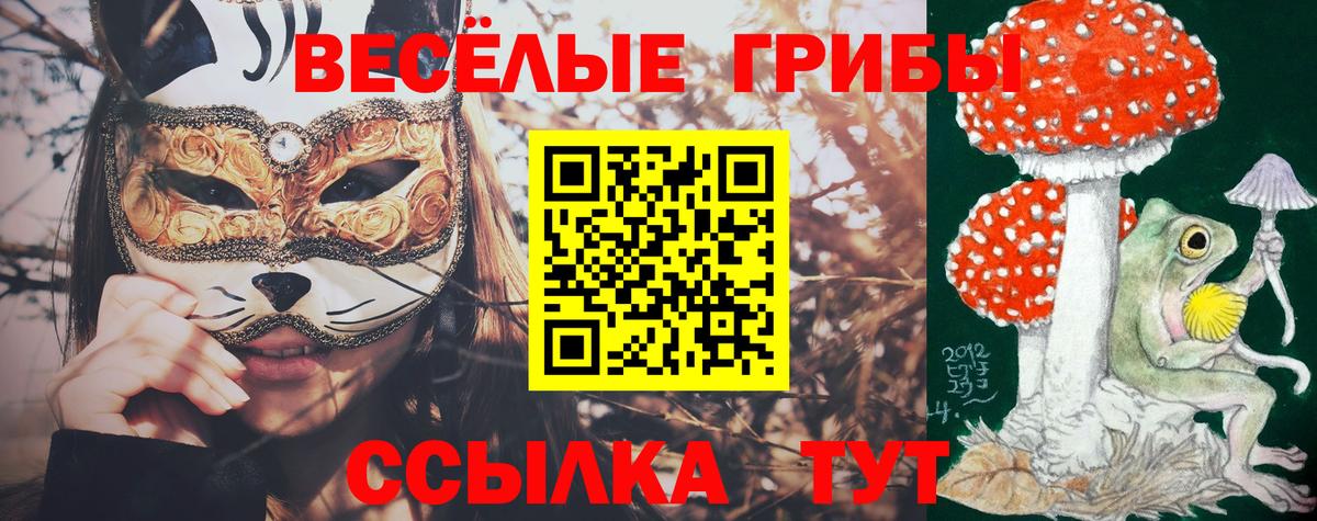 Галлюциногенные грибы Psilocybe Коммунар