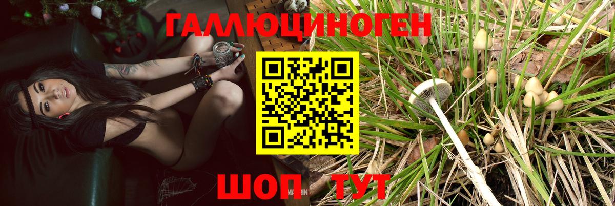 Галлюциногенные грибы прущие грибы  Вход с VPN  Коммунар  Псилоцибиновые грибы ЛСД 